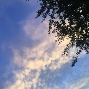 Meet your Posher, Avery